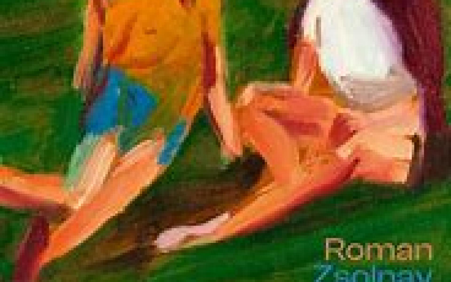 Buchcover Halbe Leben