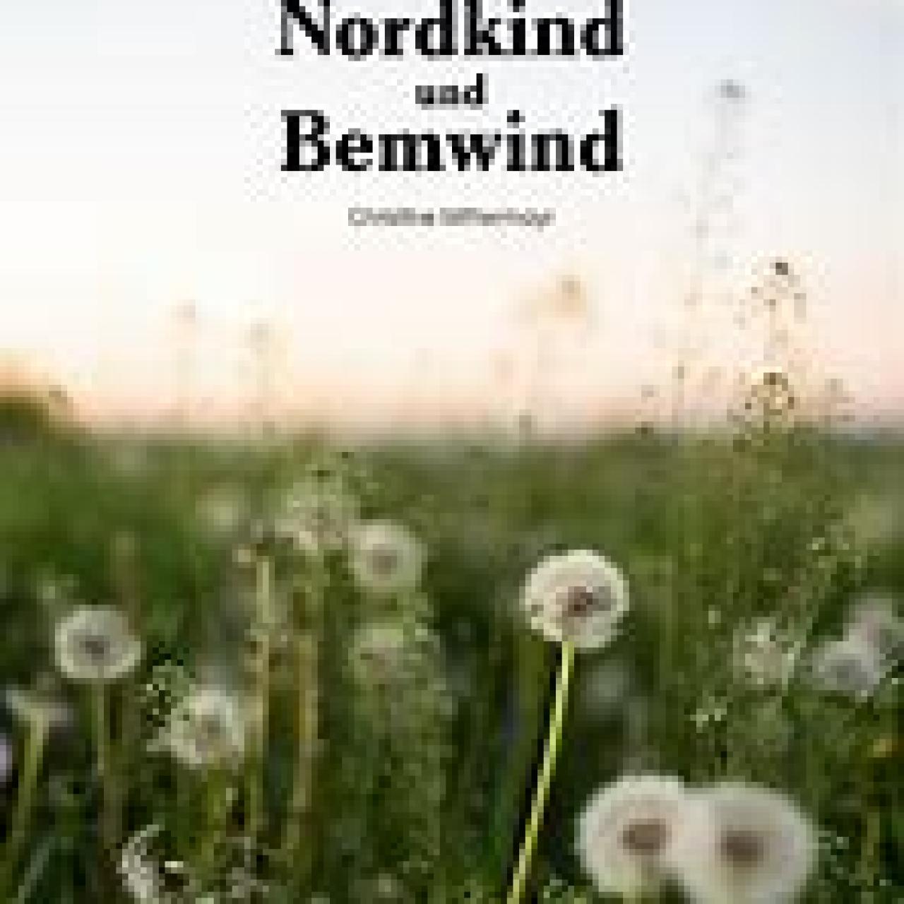 Buchcover Nordkind & Bemwind